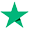 Trustpilot icon